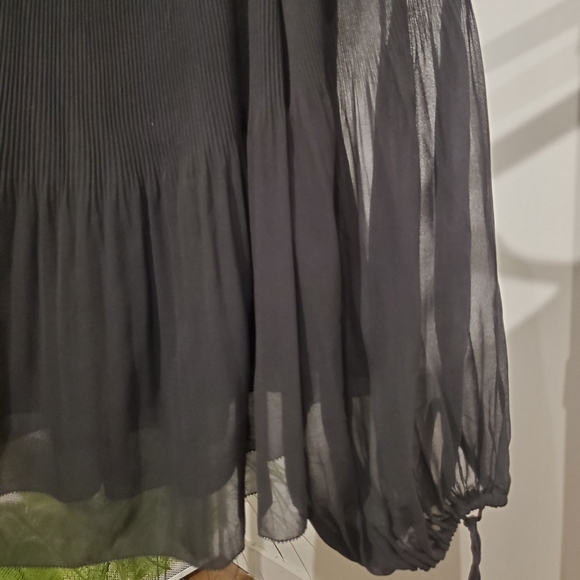 Aritzia Pleated Blouse - Picture 2 of 3